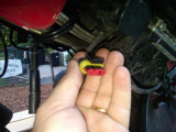 IMG00813-20100705-1657.jpg