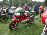 P1090107 (Small).JPG