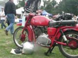 P1090129 (Small).JPG