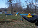 2010-11-20_11-13-23_907 (Small).jpg
