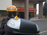 2010-11-20_13-25-25_756 (Small).jpg