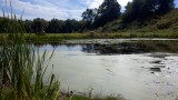 2012-09-21 14:00