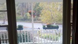 The duck sits outside