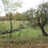 IMG_5445 (Small).JPG