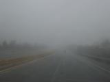 DSC00619.JPG