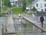 DSC02440.JPG