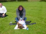 DSC02550.JPG