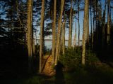 DSC00235.JPG