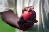 Cricket ball