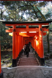 Fushimi-inari shrine