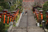 Hiking from Kurama to Kibune, near Kyoto