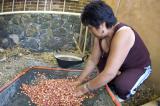Ihuatzio - Making Hominy for Pozole