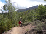 Walking the trail