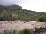 Queen Creek rages on past the Demonstration Garden