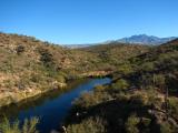 Four Peaks in the background. Photo taken by Shirley Knight