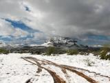 View of Picketpost Mtn From Silver King Mine Road