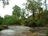 SE corner of the Chihuahuan terraces is almost underwater