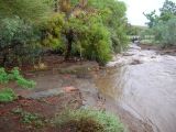 Thick Mud Covering the Main Trail at the East side of Silver King Crossing