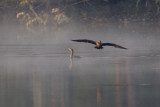 JUNO POND, OXBOW