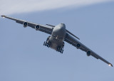 A REALLY BIG BIRD