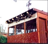   1993 1.jpg