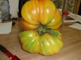 MY LARGEST TOMATOE 003 C.JPG