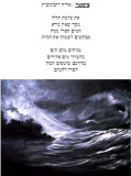 צונמי.jpg