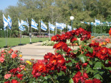 2007 035.jpg