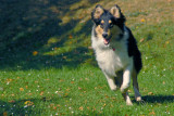 2009-10-03_10-15-39.jpg