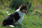 2009-09-20_10-07-42.jpg