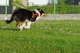 2009-08-07_18-21-46.jpg
