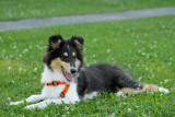 2009-08-07_18-37-20.jpg