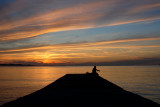 sonnenuntergfuetter.jpg