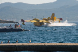 2010-08-27_17-49-37.jpg