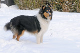 2010-01-06_13-27-16.jpg
