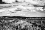open range_bw.jpg