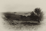 dingle bay.jpg