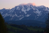 scheuchensp.jpg