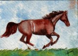 Chestnut 2-09