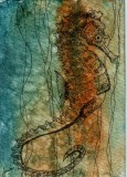 Seahorse 8-10