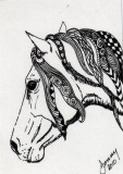 Zen Horse 8-10