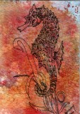 Red Seahorse   8-10