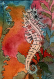 Seahorse 8-10