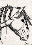 Zen Horse 8-10