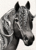 Zen Horse 8-10