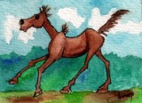 Chestnut 12-10