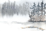 Christmas Card, 4 x 6 1-11