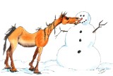 Christmas Card 4 x 6 1-11