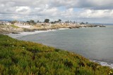 Santa Cruz, Moss Landing, Manresa Beach & vicinity