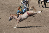 California Rodeo - 2010